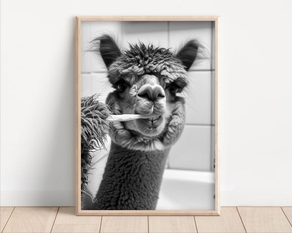 Alpaca Brushing Teeth Poster Or Canvas Funny Bathroom Wall Art Laundry Room Decor Vintage Style Retro Animal Print Cute Humor