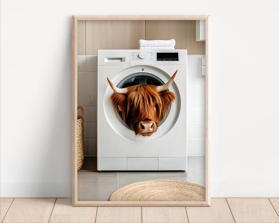 Highland Cow In A Washing Machine Poster Or Canvas Funny Bathroom Wall Art Cute Laundry Room Decor Retro Animals Print