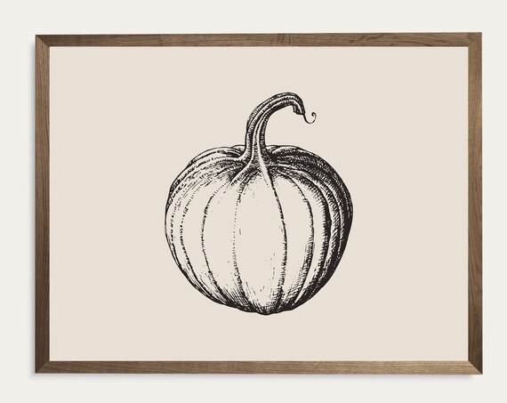 Pumpkin Sketch Line Drawing Fall Botanical Vintage Harvest Wall Art