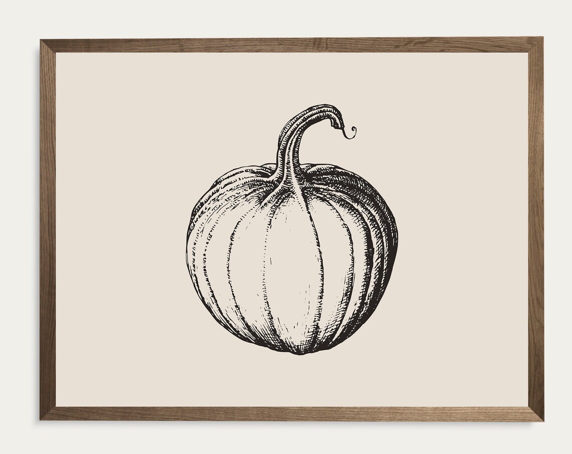 Pumpkin Sketch Line Drawing Fall Botanical Vintage Harvest Wall Art
