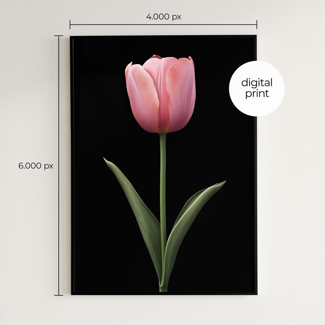 Pink Tulip on Black Background Minimal Modern Botanical Wall Print - Image 2