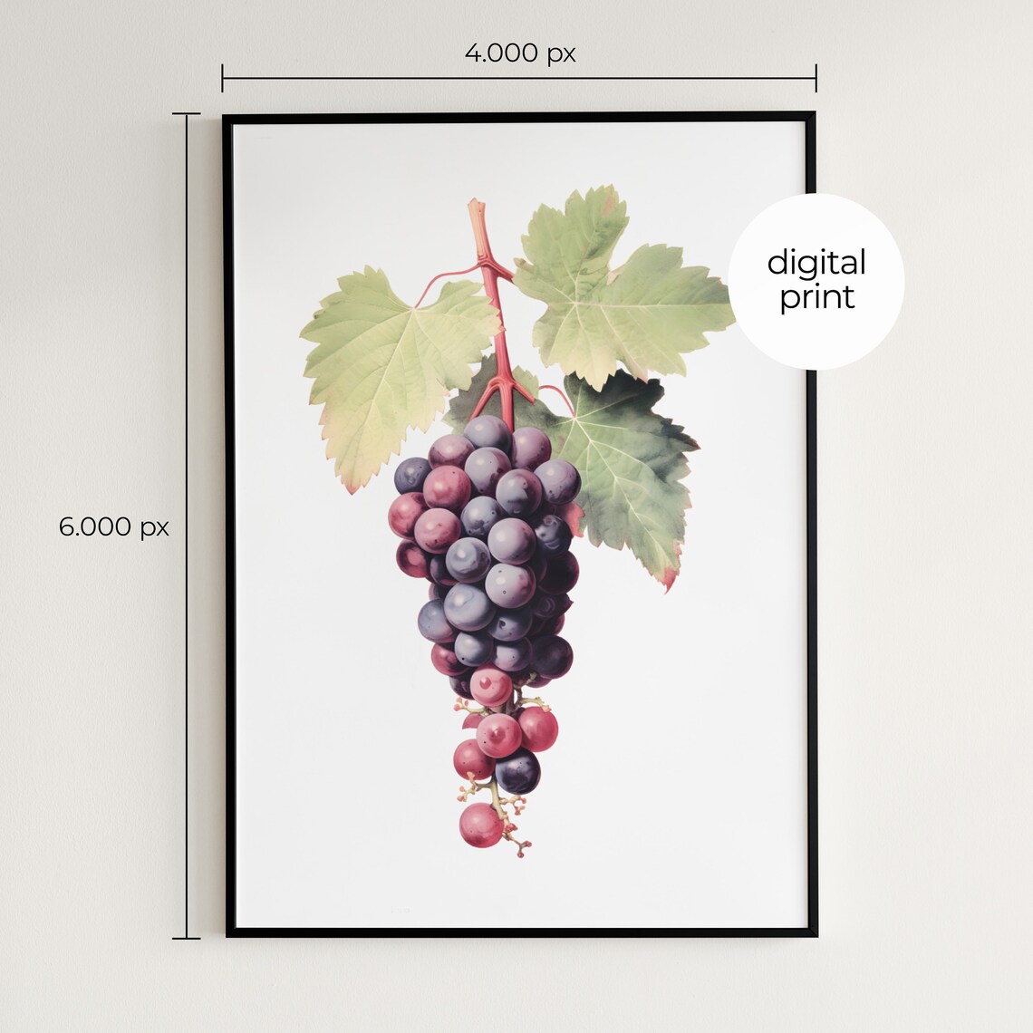 Grape Botanical Vintage Fruit Poster Print - Image 2