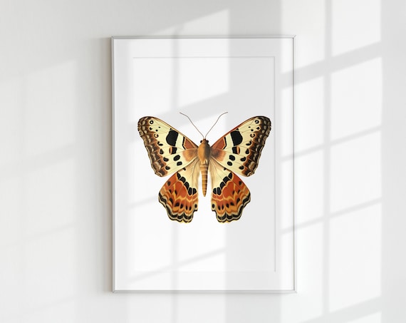 Moth Print, Botanical Guide Art Print
