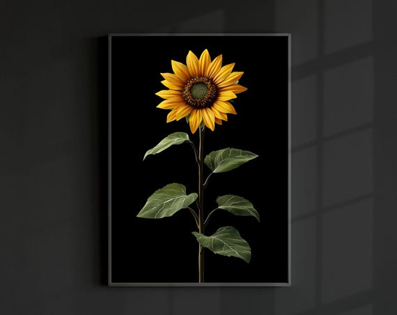Sunflower Photo Botanical Minimal Modern Art Print