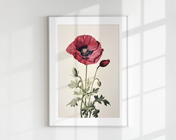 Poppy Botanical Vintage Poster, Floral Wall Art