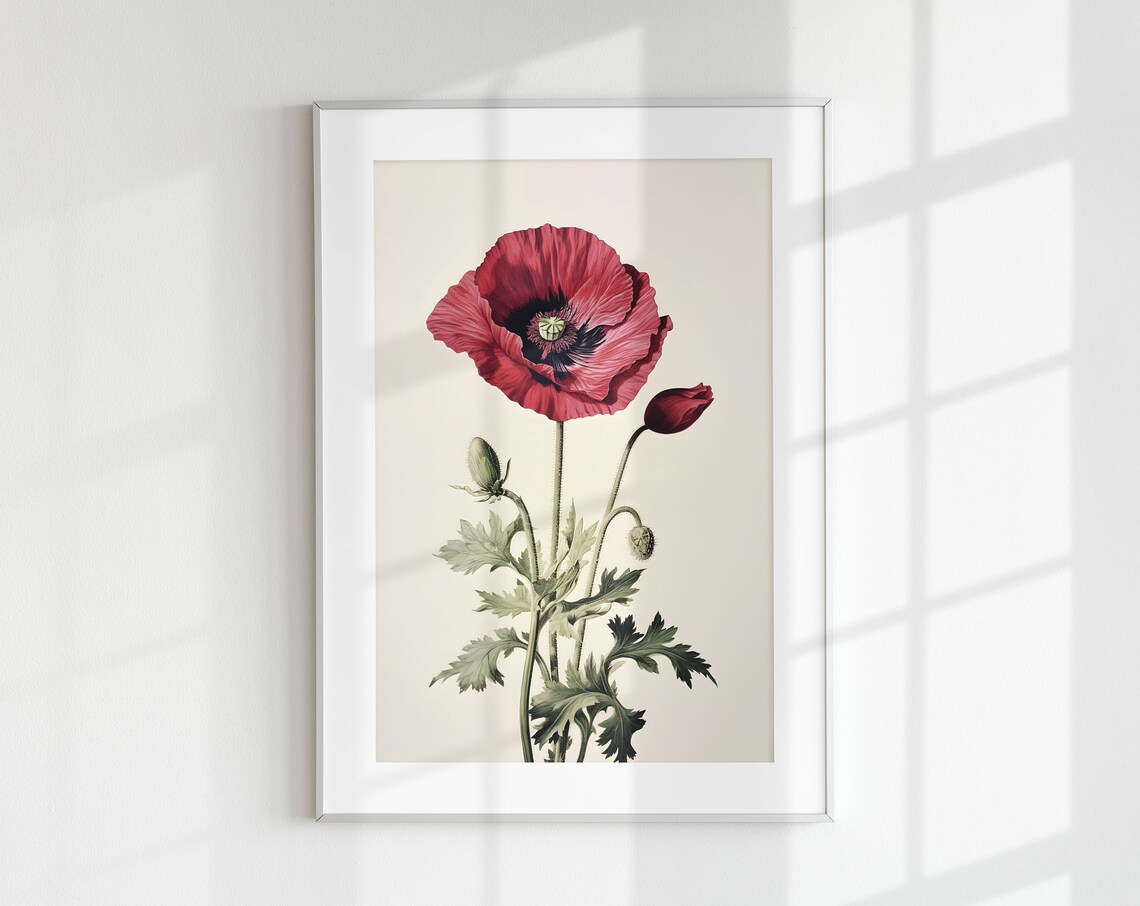 Poppy Botanical Vintage Poster, Floral Wall Art