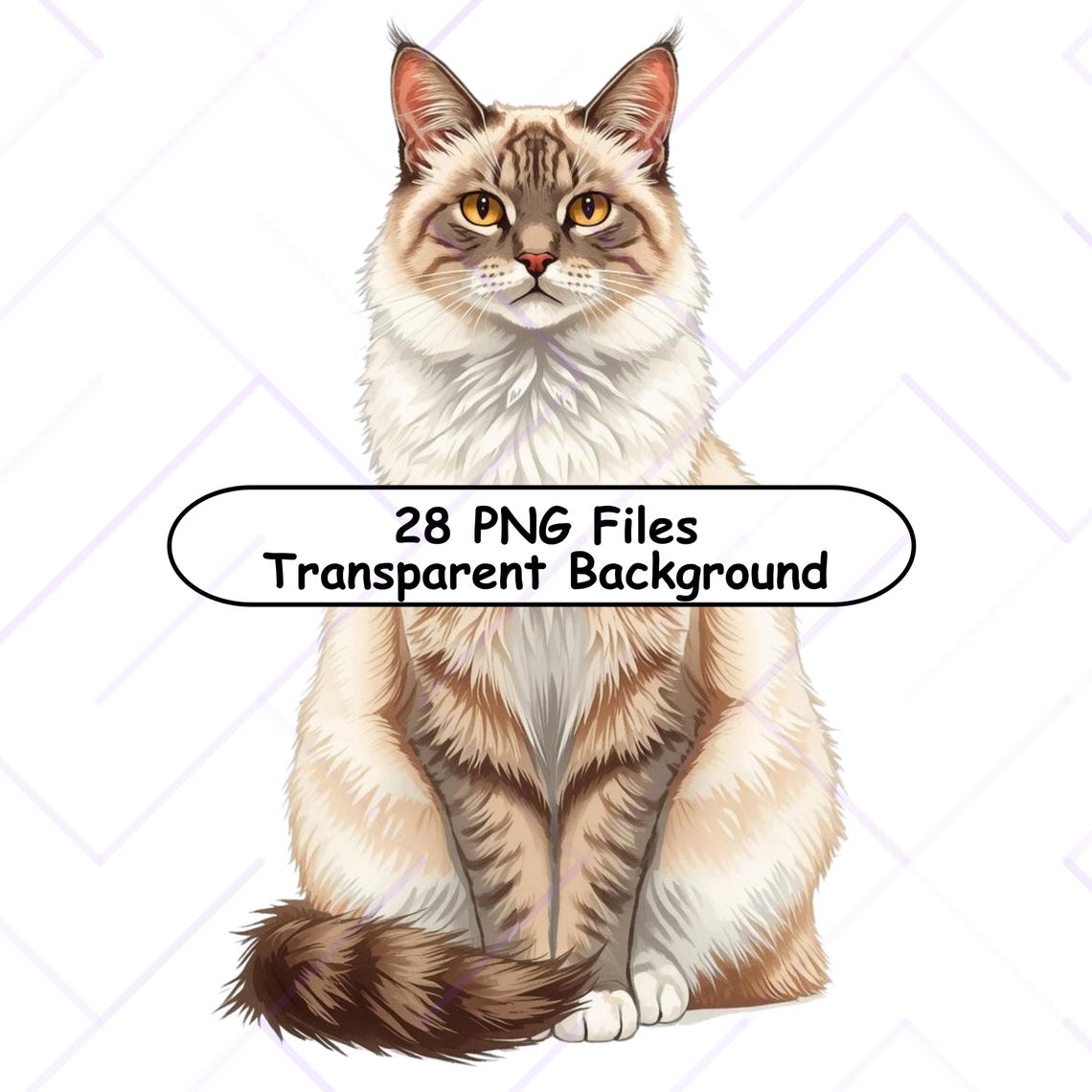 Sitting Cat Clipart Bundle High Resolution 300 Dpi With Transparent Background