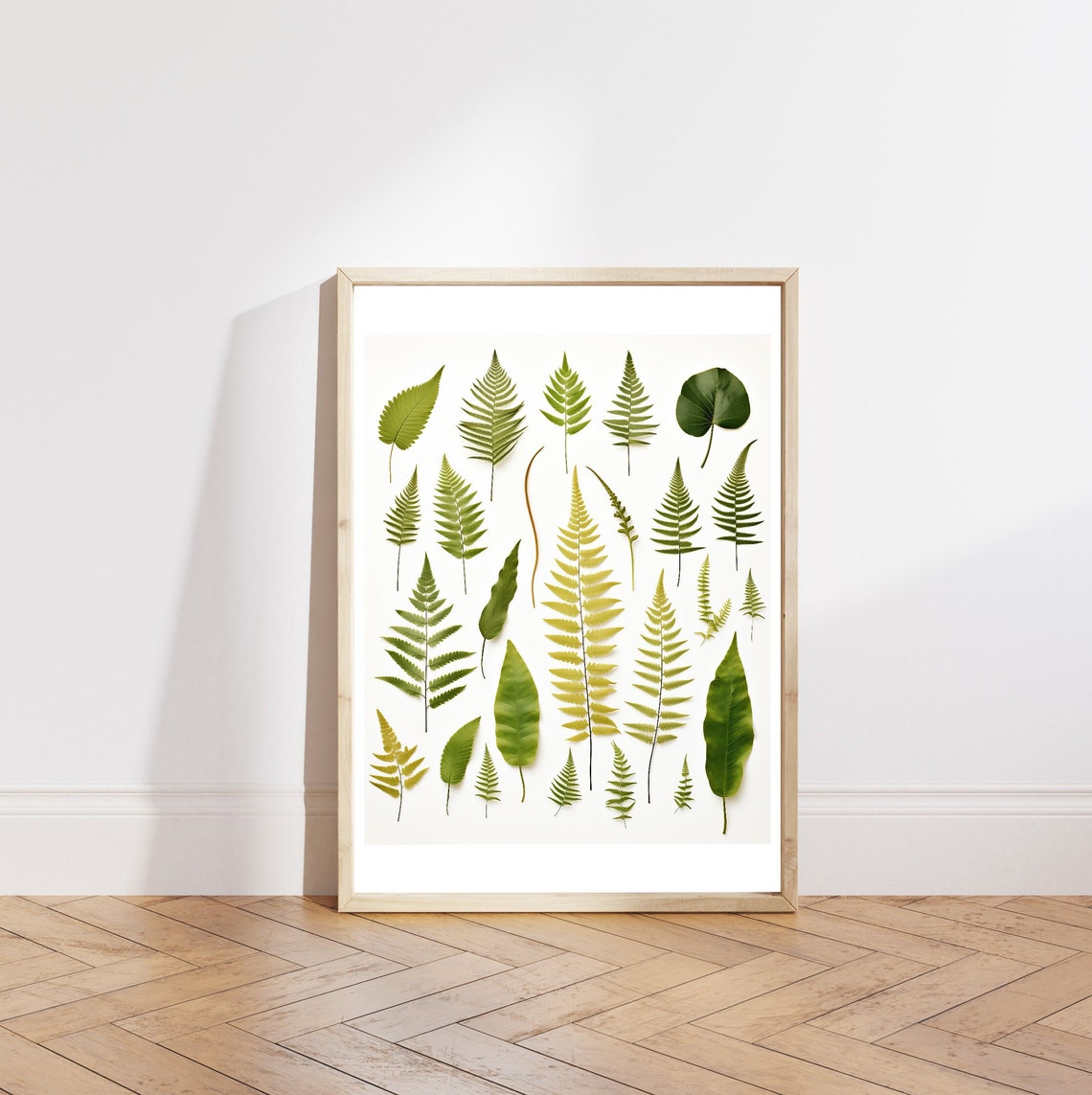 Fern Species Botanical Chart Green Leaves Vintage Study Poster - Image 6