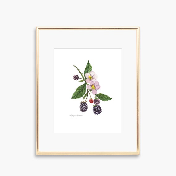 Blackberry Watercolor Art Print, Summer Kitchen Decor
