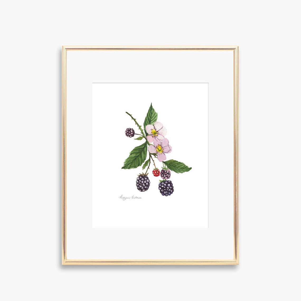 Blackberry Watercolor Art Print, Summer Kitchen Decor