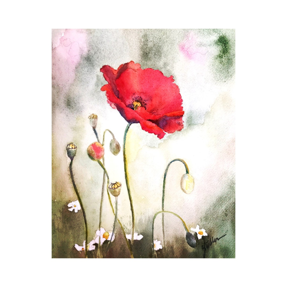 Bold Red Poppy Bloom With Buds and Daisies Watercolor Floral Poster