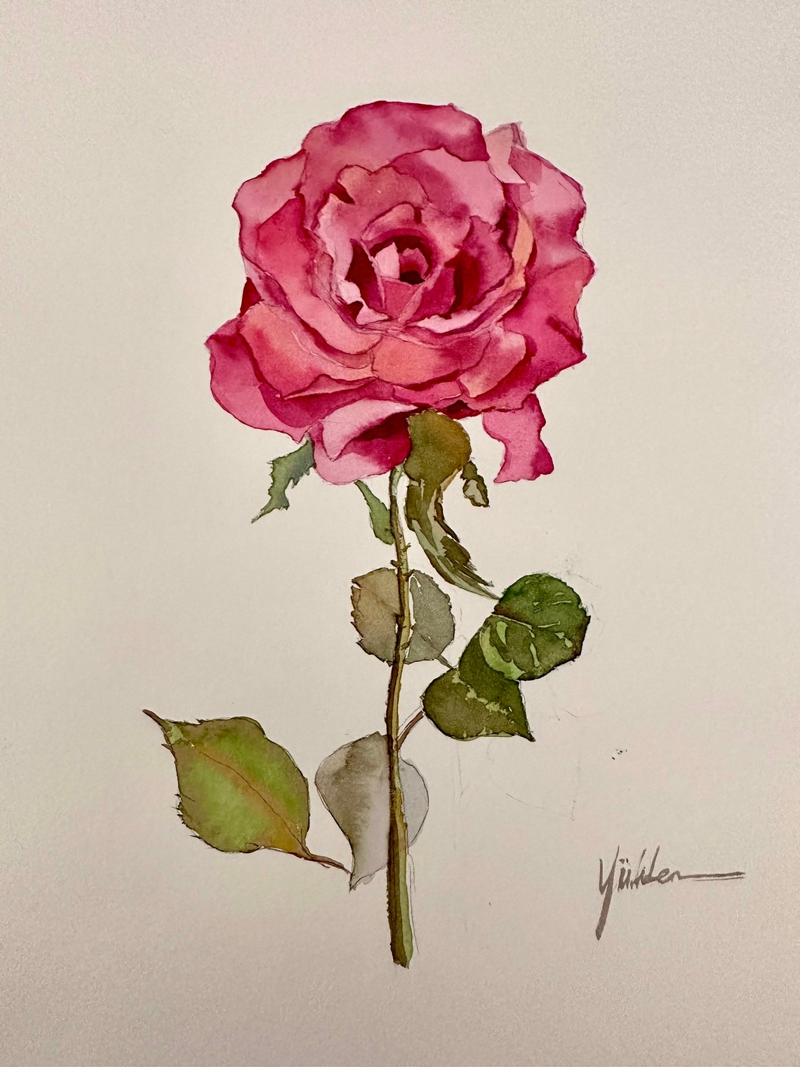 Single Pink Rose Bloom Close Up Watercolor Floral Art Poster - Image 4