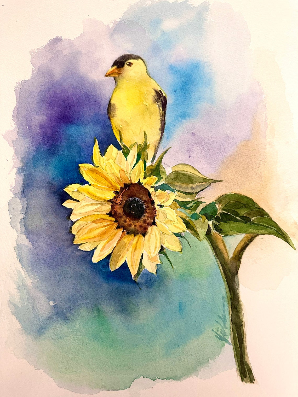 American Goldfinch on Sunflower Watercolor Summer Bird Poster - Image 2