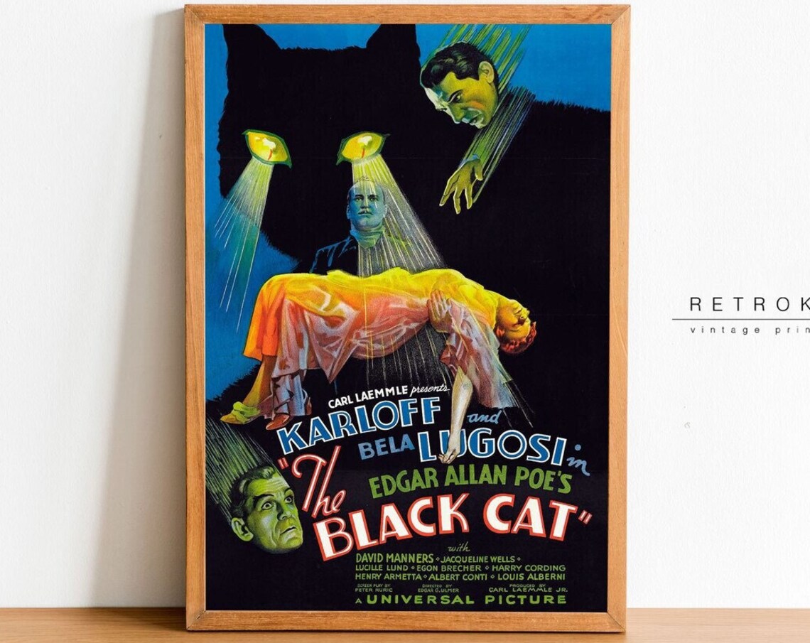 The Black Cat 1934 Karloff Lugosi Universal Horror Movie Classic Poster