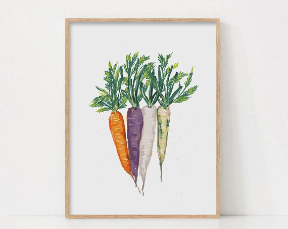 Rainbow Carrots Watercolor Vegetables Fresh Garden Kitchen Decor Poster