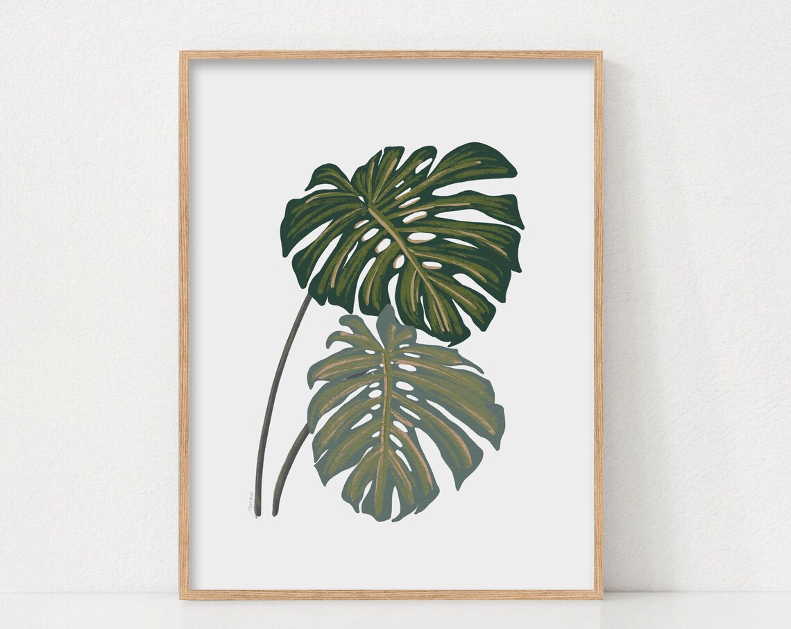 Monstera Leaves Botanical Illustration, Tropical Decor