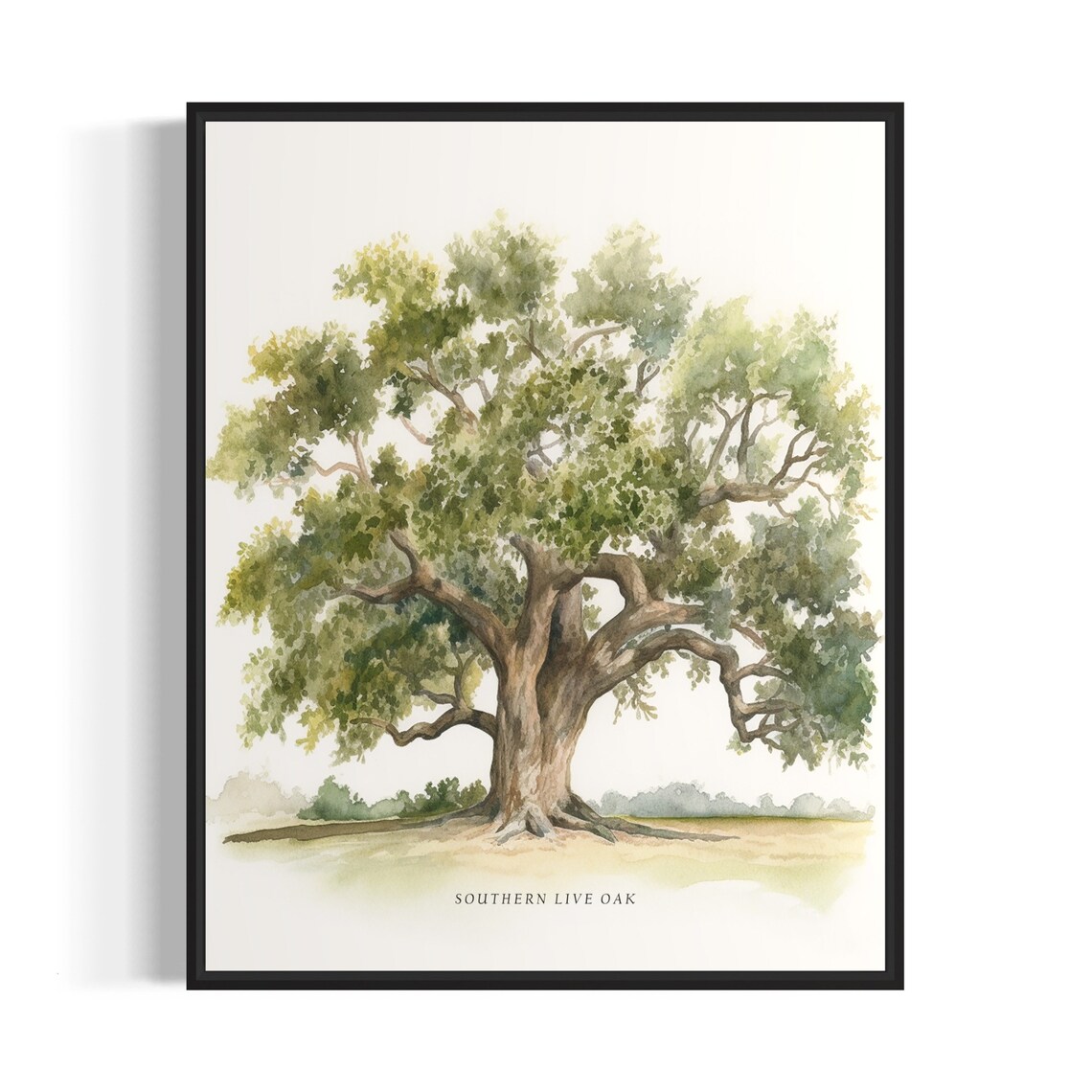 Southern Live Oak Tree Art Print, Nature Wall Decor