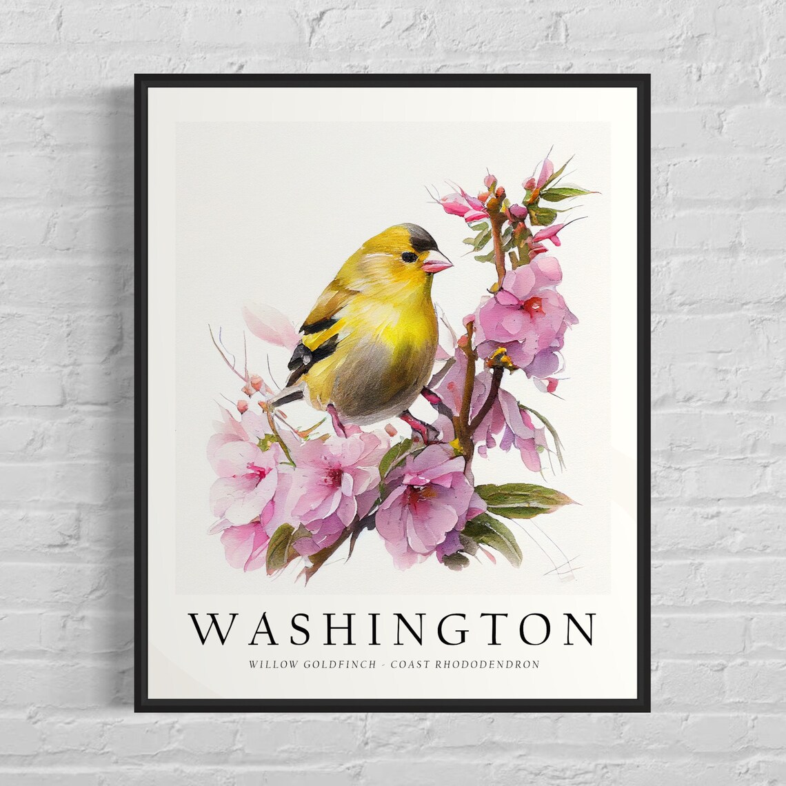 Washington State Bird Art Print, State Flower Wall Art