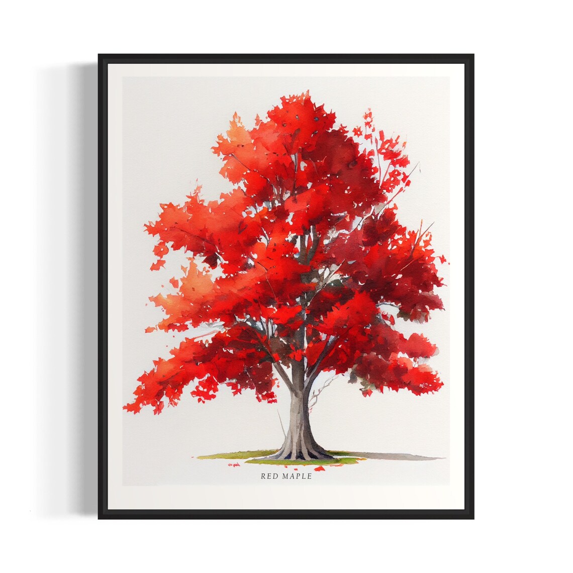 Red Maple Tree Art Print, Nature Landscape Poster