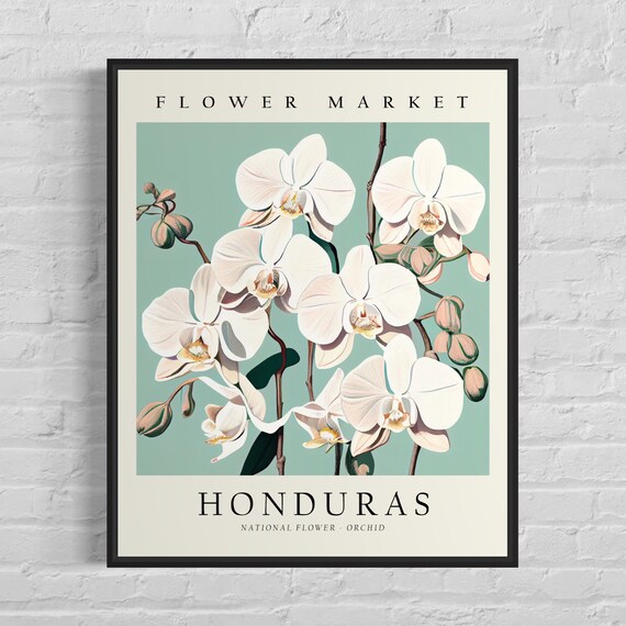 Honduras Flower Market Orchid Botanical Art Print