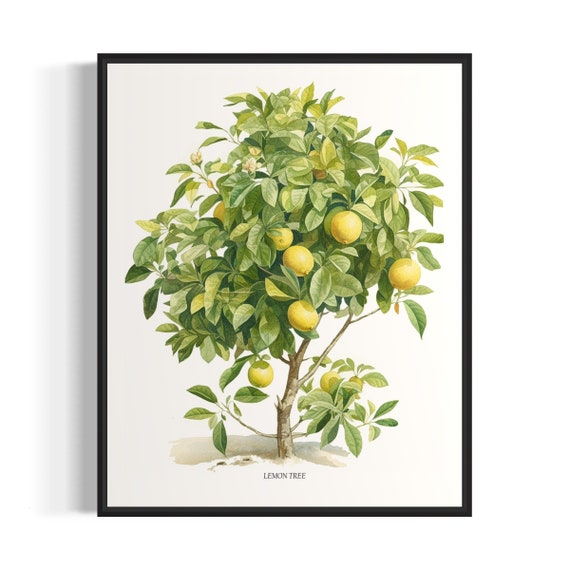 Lemon Tree Wall Art Print, Kitchen Fruit Decor