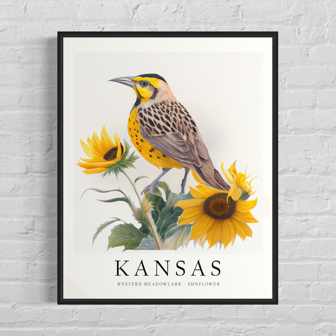 Kansas State Bird Art Print, State Flower Wall Art