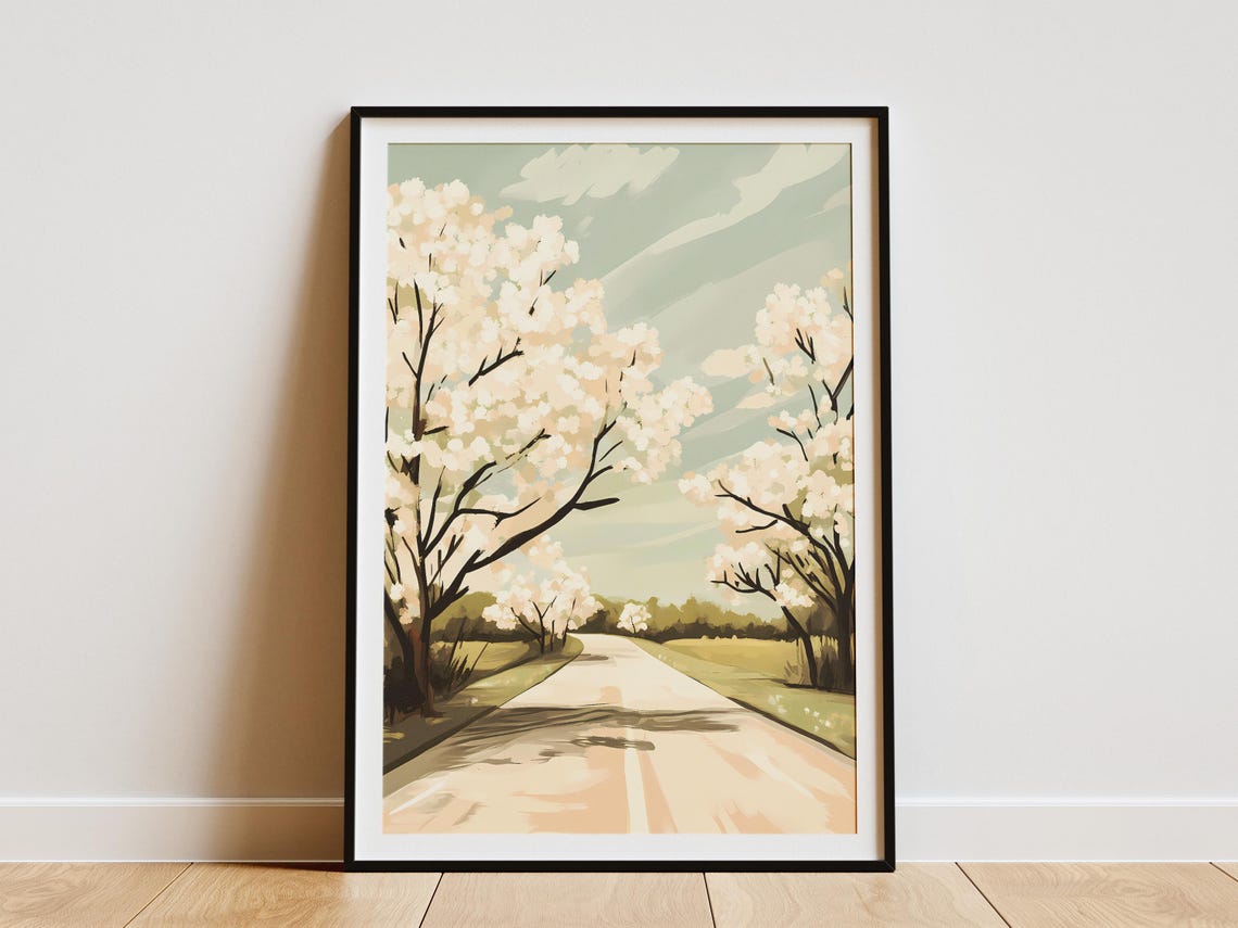 Sunlit Country Road Lined With Blooming White Blossom Trees Poster