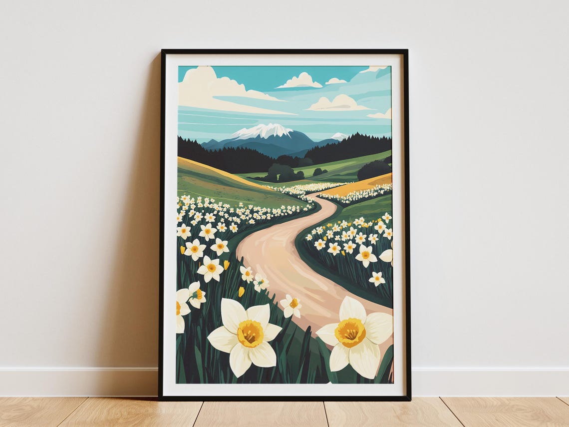 Countryside Road Through White Daffodil Fields Poster Snowy Mountain