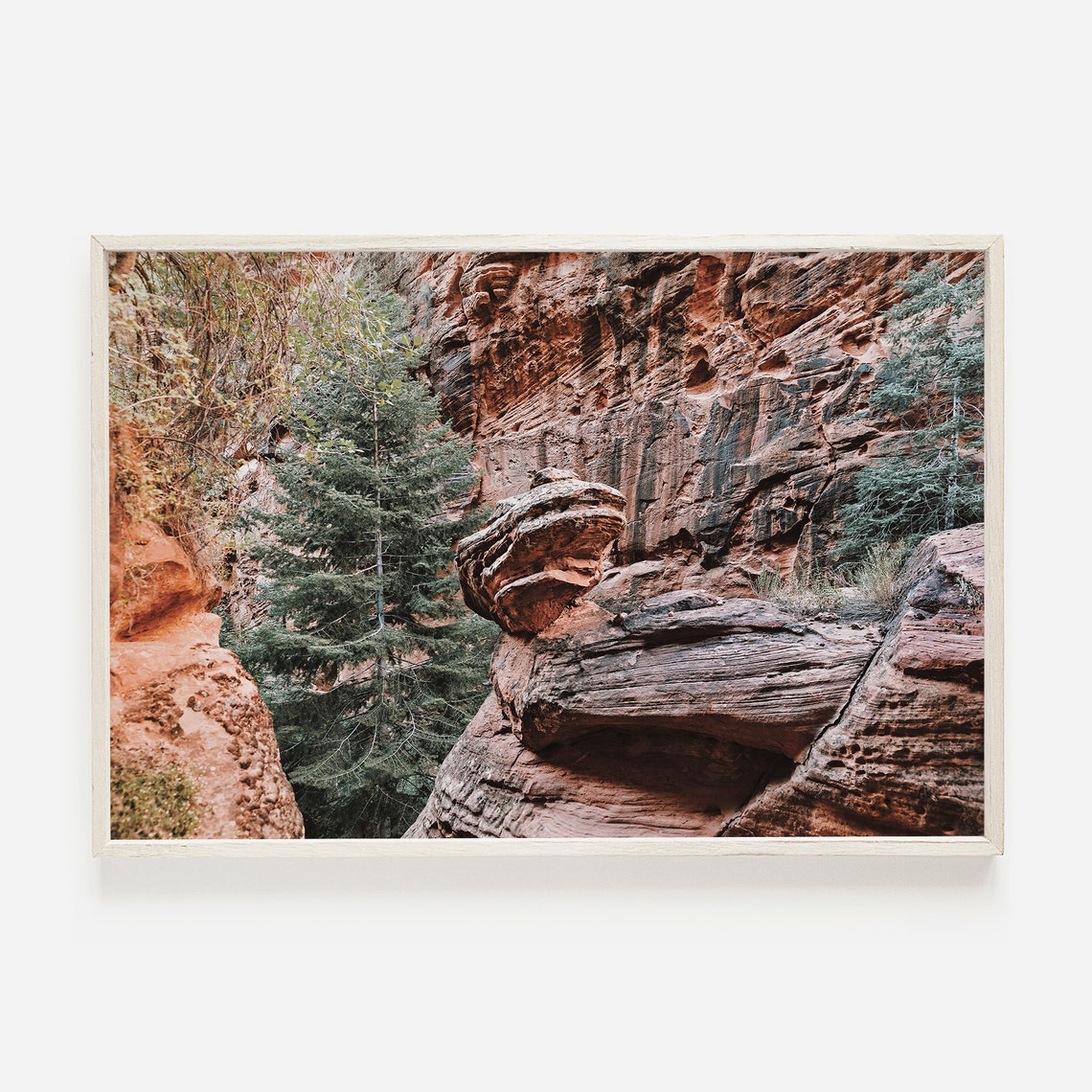 Red Rock Canyon Cliffs With Evergreen Pines Utah Wilderness Poster