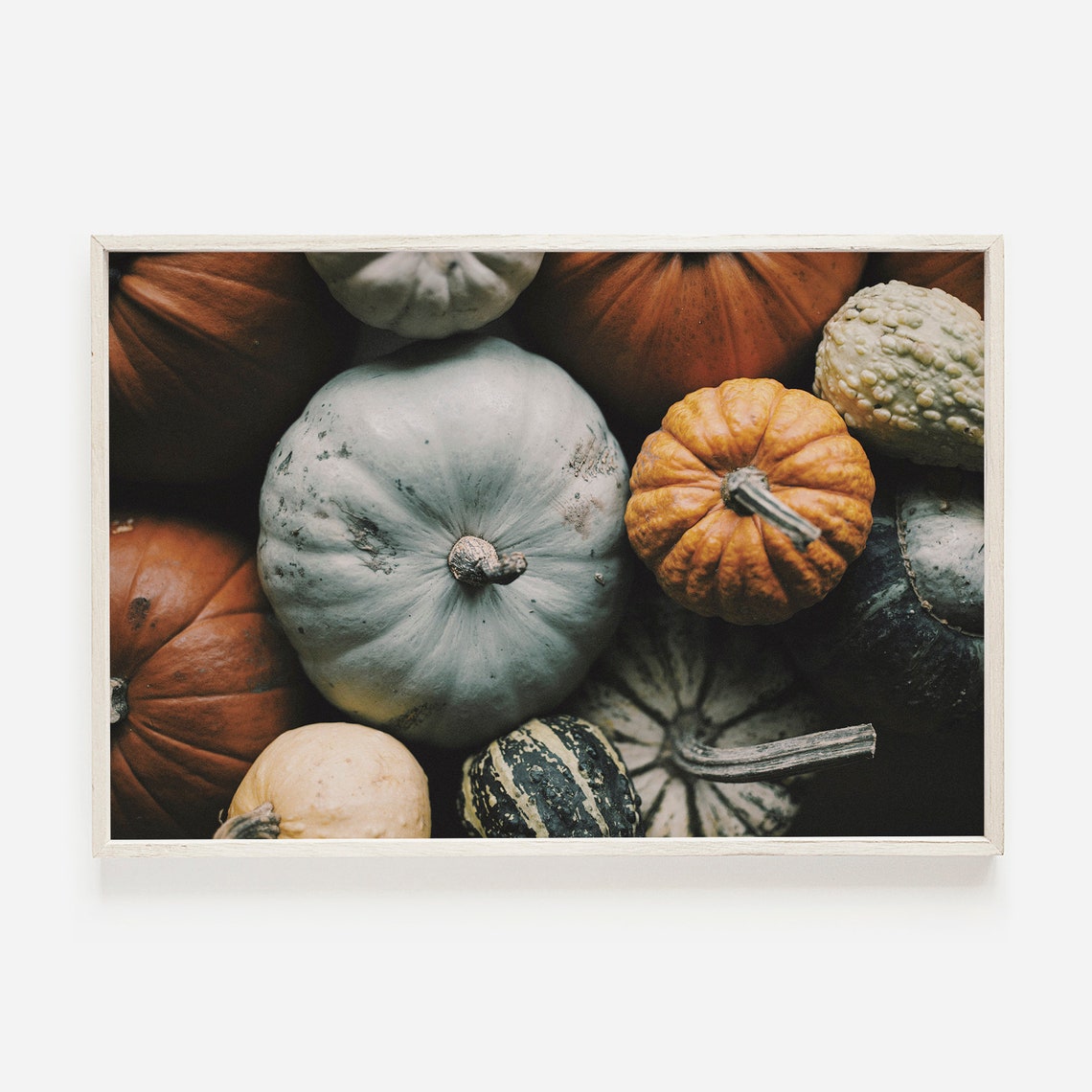 Fall Squash Harvest Print Colorful Gourds Poster Thanksgiving Decor Rustic Farmhouse Art Pumpkin Wall