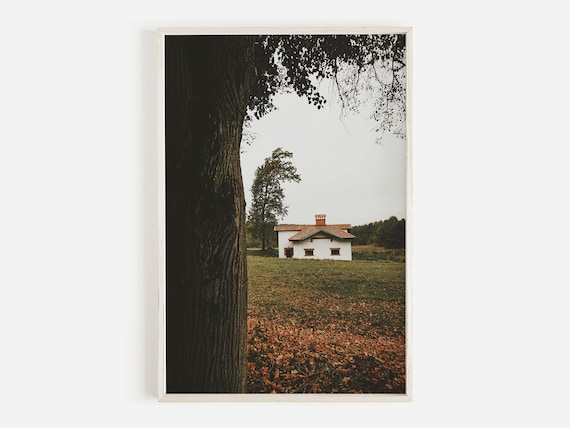 White Farmhouse Autumn Fallen Leaves Quiet Rustic Photo Print