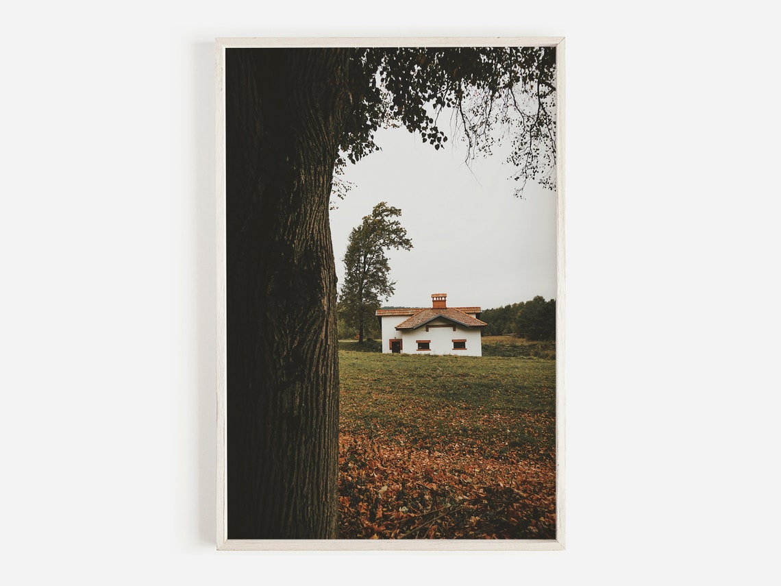 White Farmhouse Autumn Fallen Leaves Quiet Rustic Photo Print