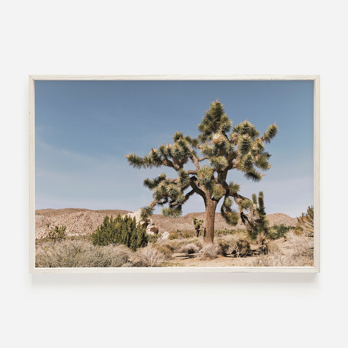 Joshua Tree Blue Sky Desert Rocks Southwest Landscape Photo Poster