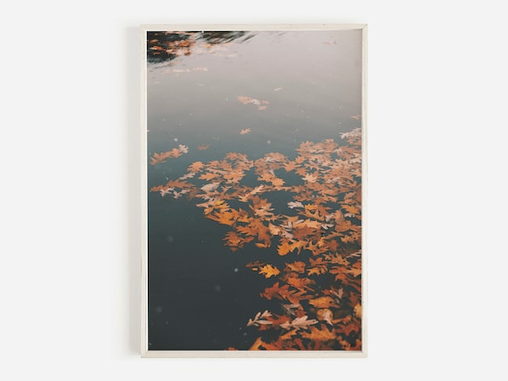 Autumn Leaves Floating On Lake Moody Fall Photography Poster
