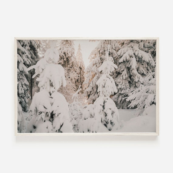 Snow Covered Pine Trees Snowy Forest Photo Winter Wall Art Farmhouse Decor Print