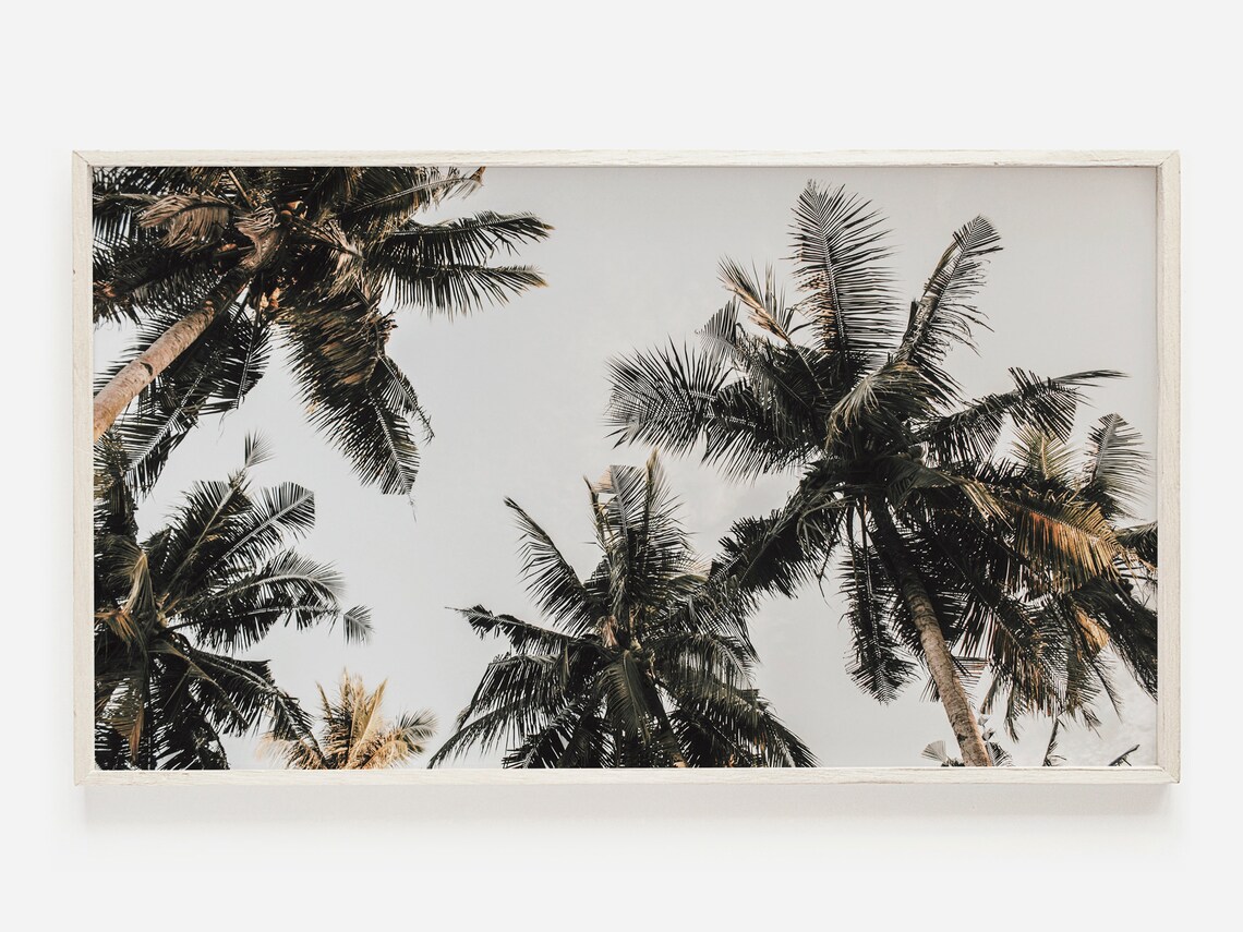 Samsung Frame Tv Art Boho Palm Tree Photo Canopy Print For Palms Decor