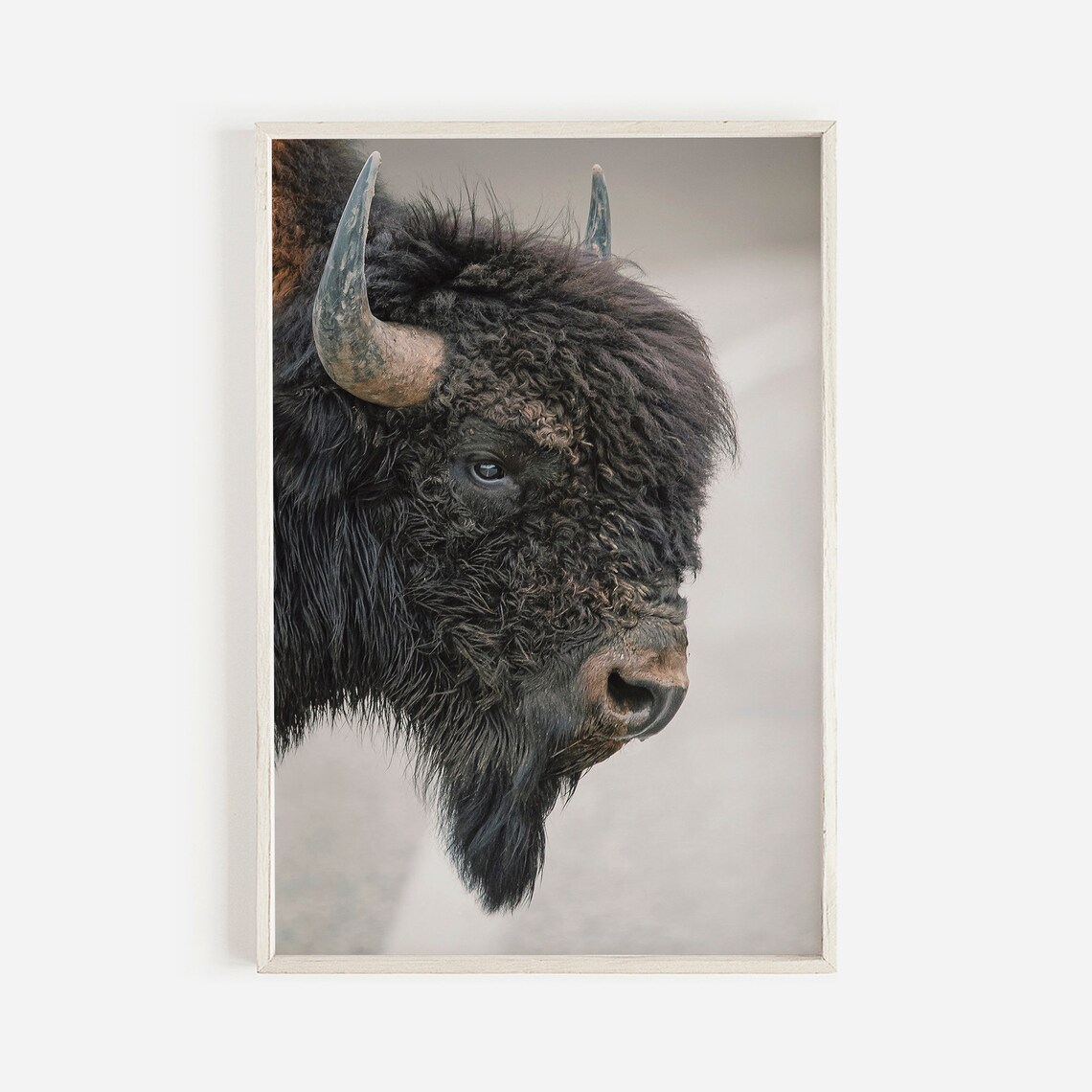 Bison Wall Art Brown Photo Western Modern Rustic Decor Wildlife Photography Nature Scenery Print