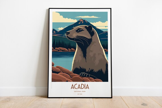 Acadia National Park Otter Poster Rocky Shore Maine Wildlife Travel Art