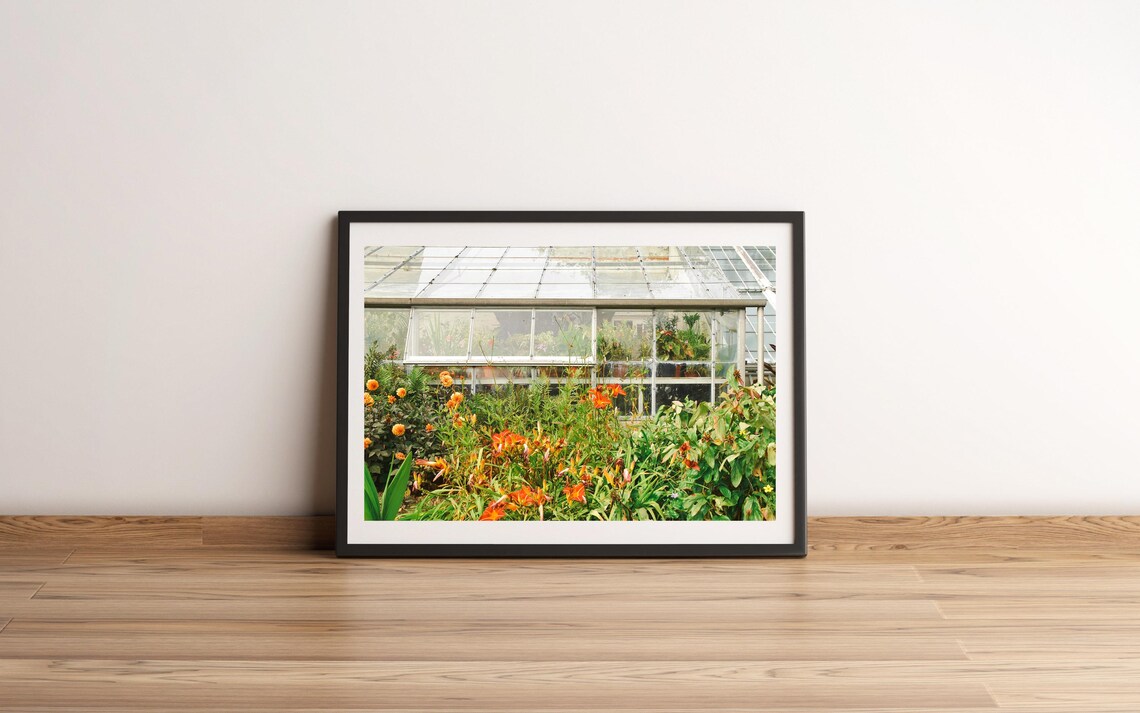 Victorian Glass Greenhouse Orange Blooms Garden Photo Poster
