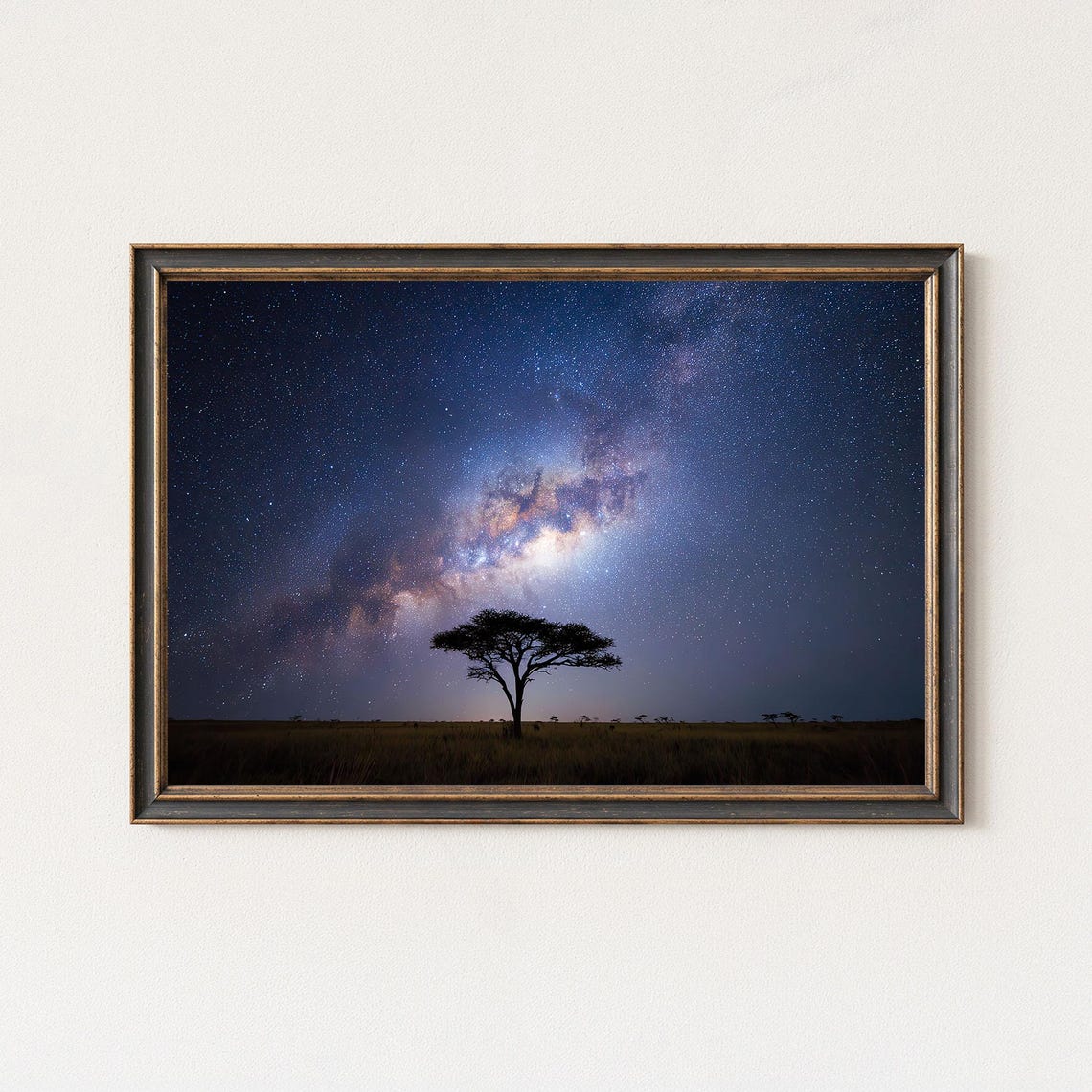 Milky Way Over African Acacia Tree Night Sky Landscape Print