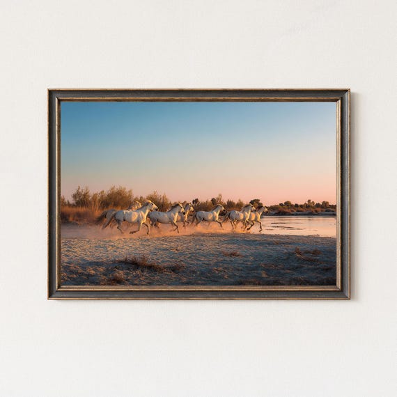 Wild Horses Photography Print Sunset Dust Run Art