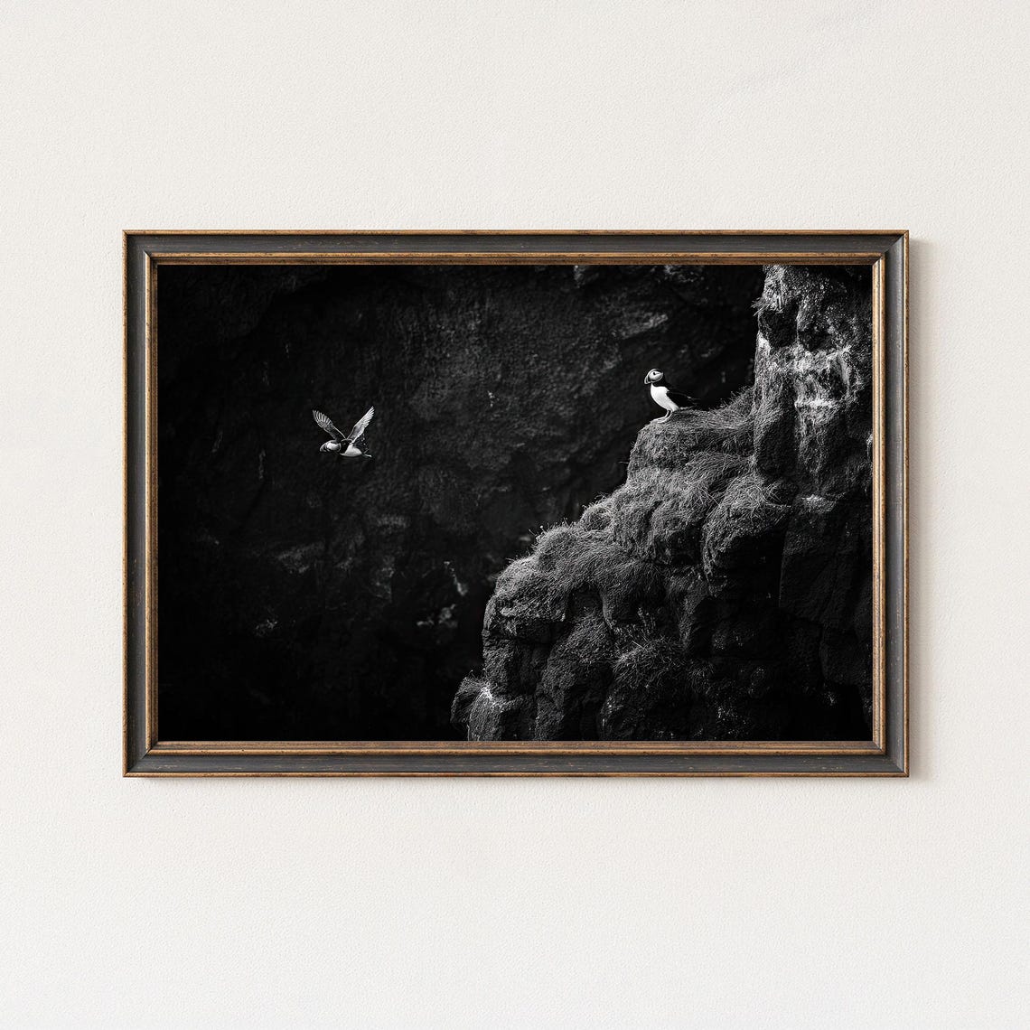Atlantic Puffins on Sea Cliff Black and White Photography Poster