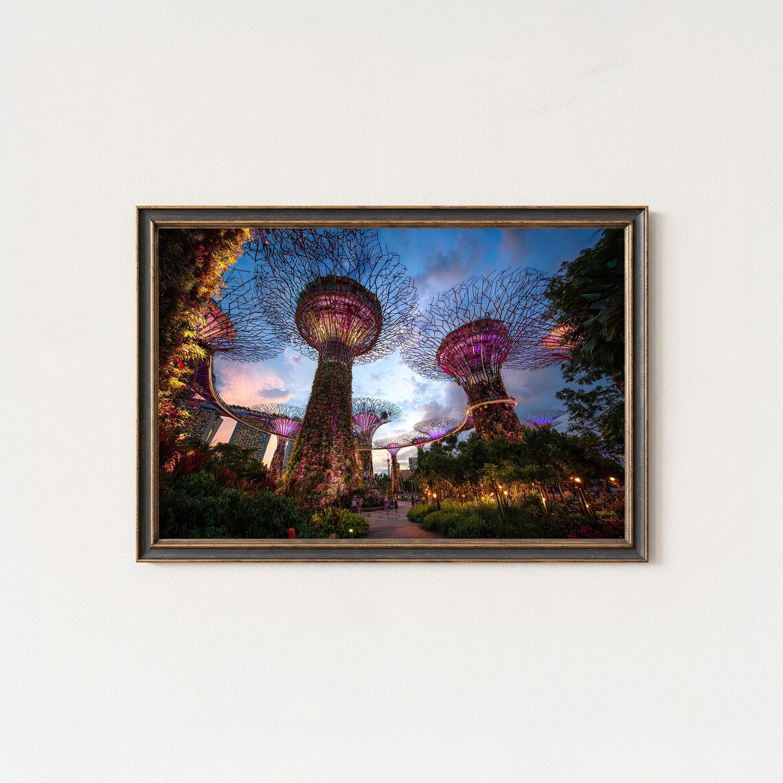 Gardens By The Bay Singapore Supertrees Sunset Night Photo Poster