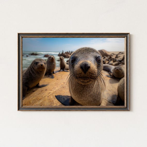 Seal Colony Photography Print Cape Cross Wildlife Art