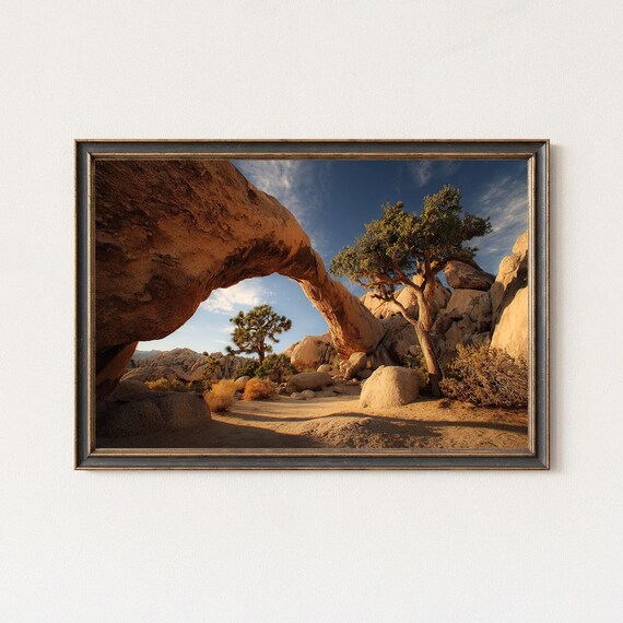 Joshua Tree Red Rock Arch Close Up Desert Golden Light Photo Poster