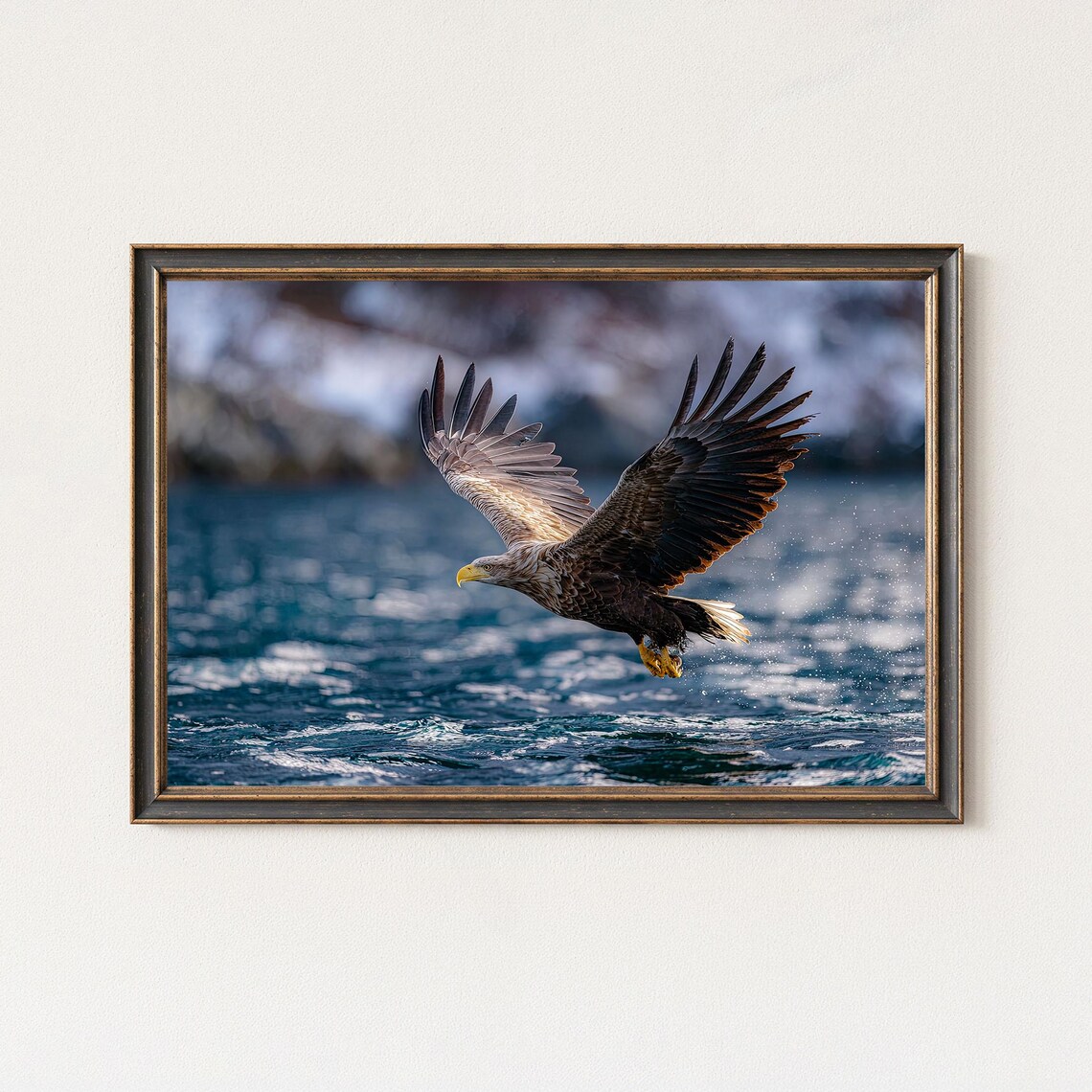 Sea Eagle Soaring Over Sparkling Ocean Nordic Wildlife Photo Print
