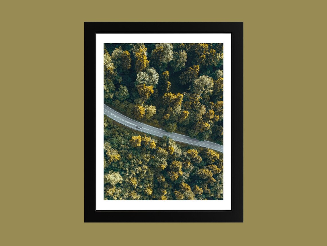 Forest Road Aerial Top Down Green Canopy Nature Photography Poster
