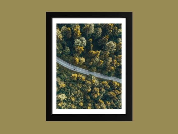 Forest Road Photography Print Scenic Rainforest Landscape Framed Or Unframed