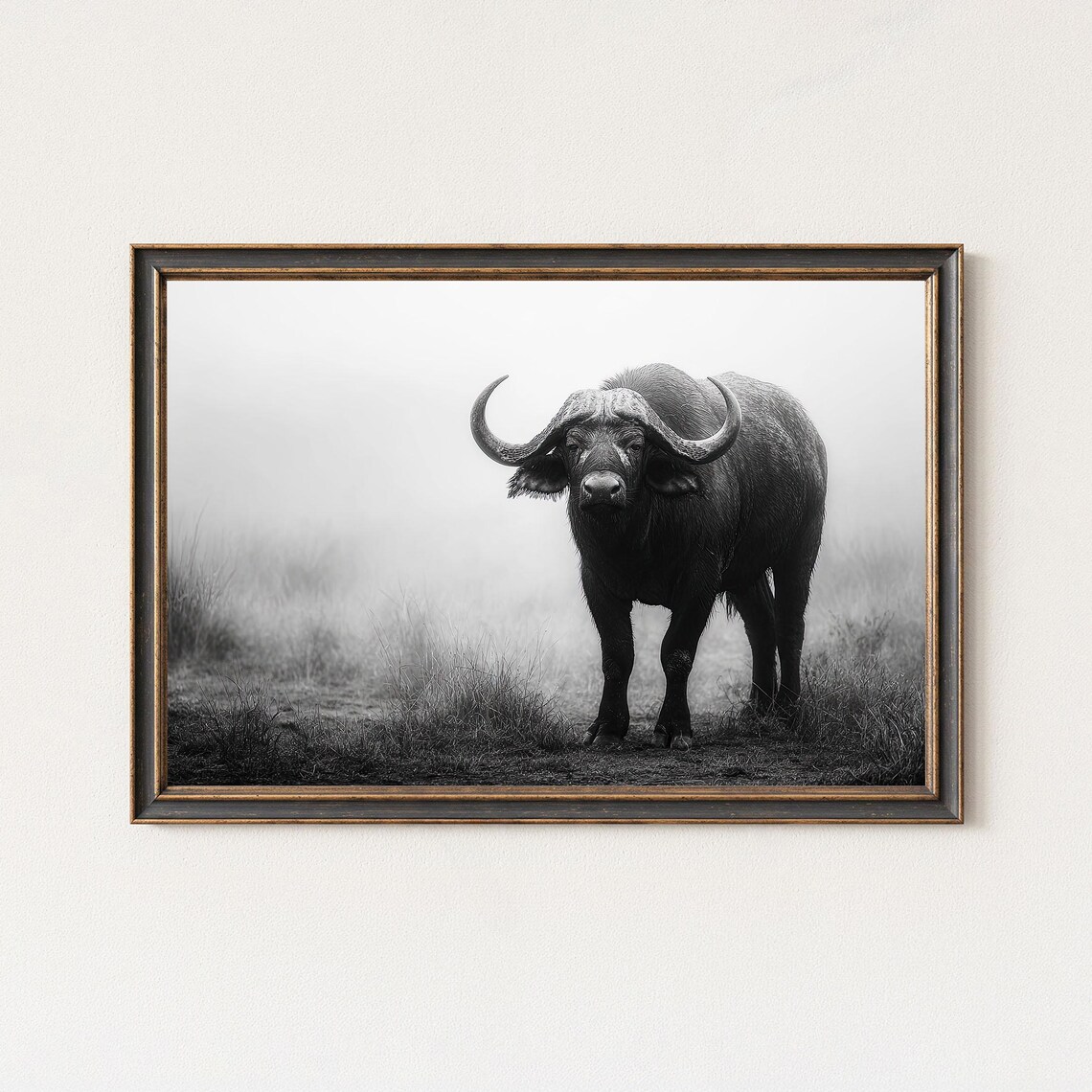 Black And White Cape Buffalo Wildlife Photography Print