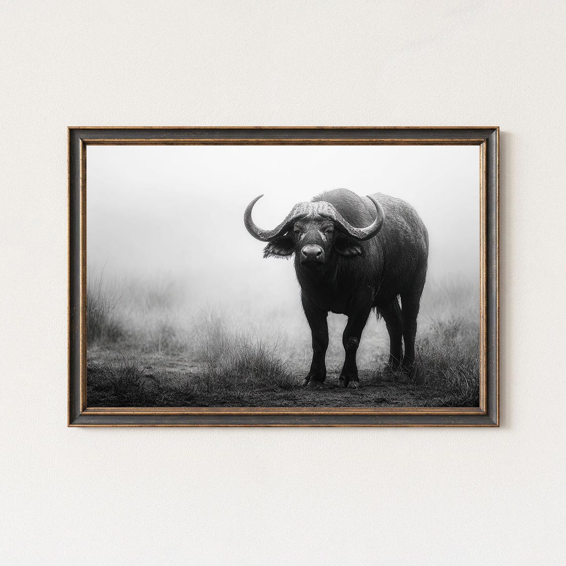 Wild Cape Buffalo In Mist Black And White Wildlife Photo Poster